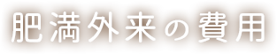 肥満外来の費用