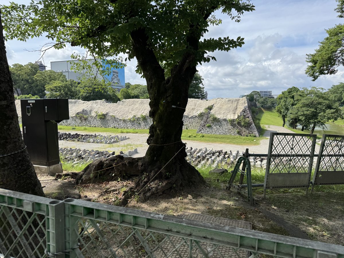 2025年の熊本城